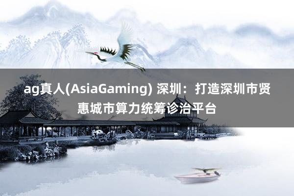 ag真人(AsiaGaming) 深圳：打造深圳市贤惠城市算力统筹诊治平台