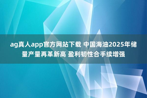 ag真人app官方网站下载 中国海油2025年储量产量再革新高 盈利韧性合手续增强