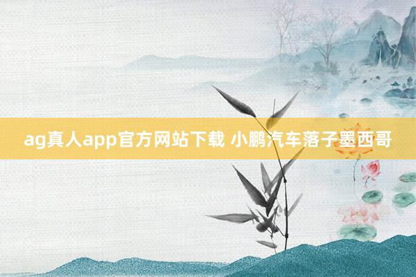 ag真人app官方网站下载 小鹏汽车落子墨西哥