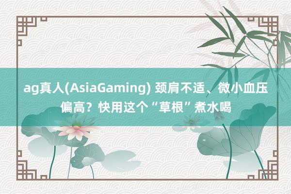 ag真人(AsiaGaming) 颈肩不适、微小血压偏高？快用这个“草根”煮水喝
