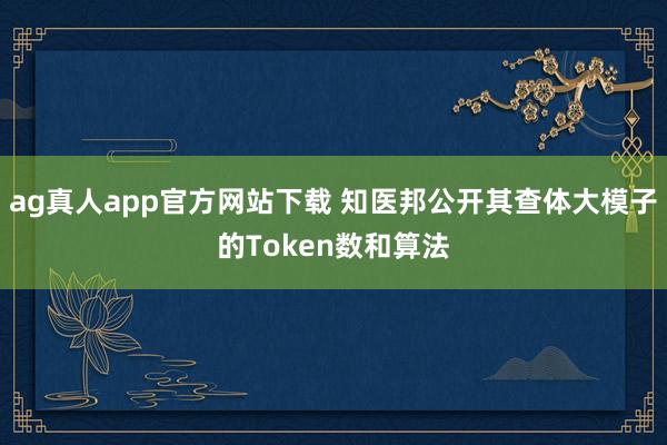 ag真人app官方网站下载 知医邦公开其查体大模子的Token数和算法