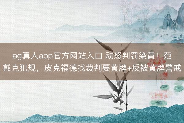 ag真人app官方网站入口 动怒判罚染黄！范戴克犯规，皮克福德找裁判要黄牌+反被黄牌警戒