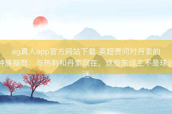 ag真人app官方网站下载 英超责问对丹索的种族脑怒：与热刺和丹索同在，这些东谈主不是球迷