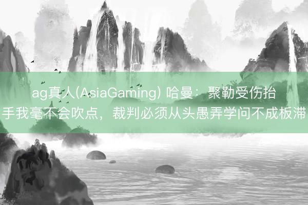 ag真人(AsiaGaming) 哈曼：聚勒受伤抬手我毫不会吹点，裁判必须从头愚弄学问不成板滞