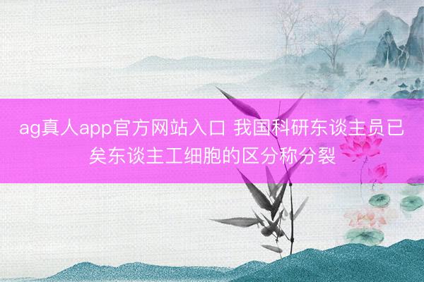 ag真人app官方网站入口 我国科研东谈主员已矣东谈主工细胞的区分称分裂