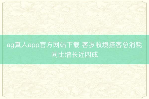 ag真人app官方网站下载 客岁收境搭客总消耗同比增长近四成