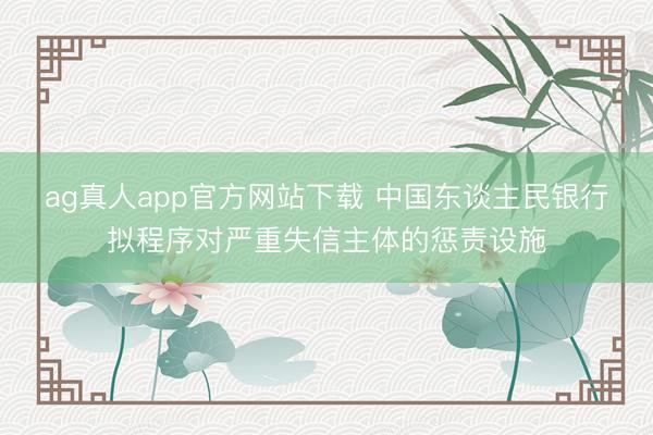 ag真人app官方网站下载 中国东谈主民银行拟程序对严重失信主体的惩责设施
