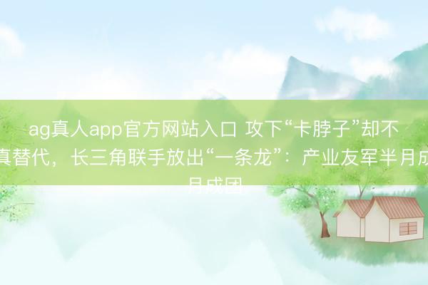ag真人app官方网站入口 攻下“卡脖子”却不敢真替代，长三角联手放出“一条龙”：产业友军半月成团