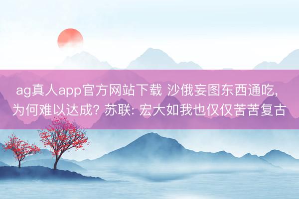 ag真人app官方网站下载 沙俄妄图东西通吃， 为何难以达成? 苏联: 宏大如我也仅仅苦苦复古