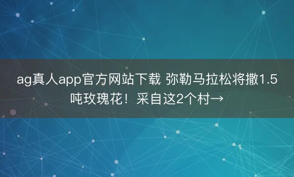 ag真人app官方网站下载 弥勒马拉松将撒1.5吨玫瑰花！采自这2个村→