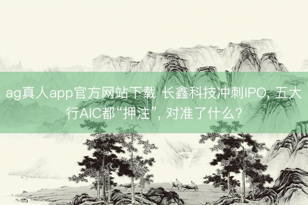 ag真人app官方网站下载 长鑫科技冲刺IPO， 五大行AIC都“押注”， 对准了什么?