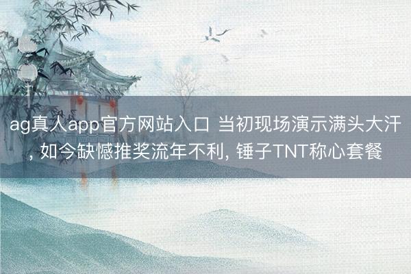 ag真人app官方网站入口 当初现场演示满头大汗， 如今缺憾推奖流年不利， 锤子TNT称心套餐