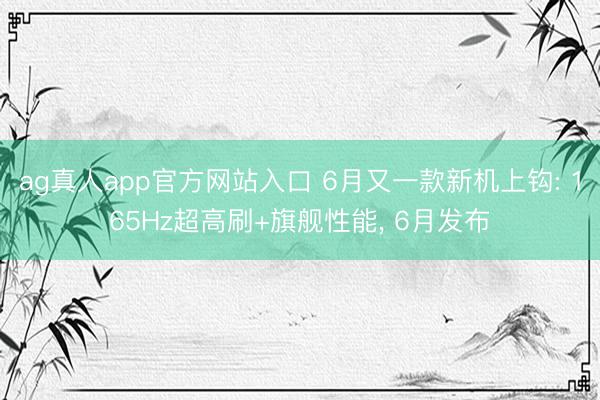 ag真人app官方网站入口 6月又一款新机上钩: 165Hz超高刷+旗舰性能， 6月发布
