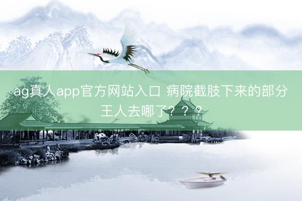 ag真人app官方网站入口 病院截肢下来的部分王人去哪了？？？
