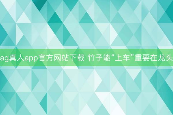 ag真人app官方网站下载 竹子能“上车”重要在龙头