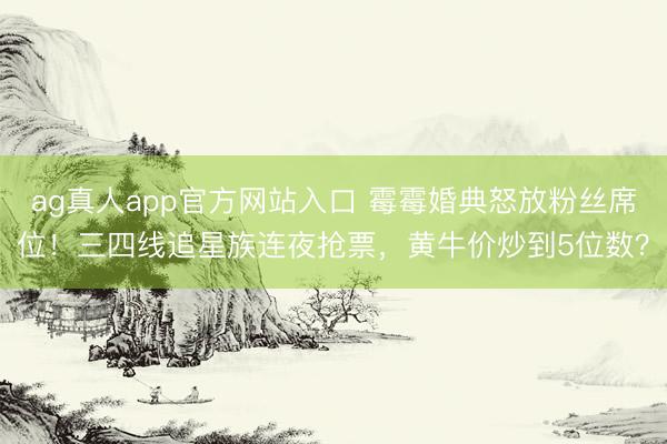 ag真人app官方网站入口 霉霉婚典怒放粉丝席位！三四线追星族连夜抢票，黄牛价炒到5位数？