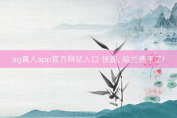 ag真人app官方网站入口 快跑， 哈兰德来了!